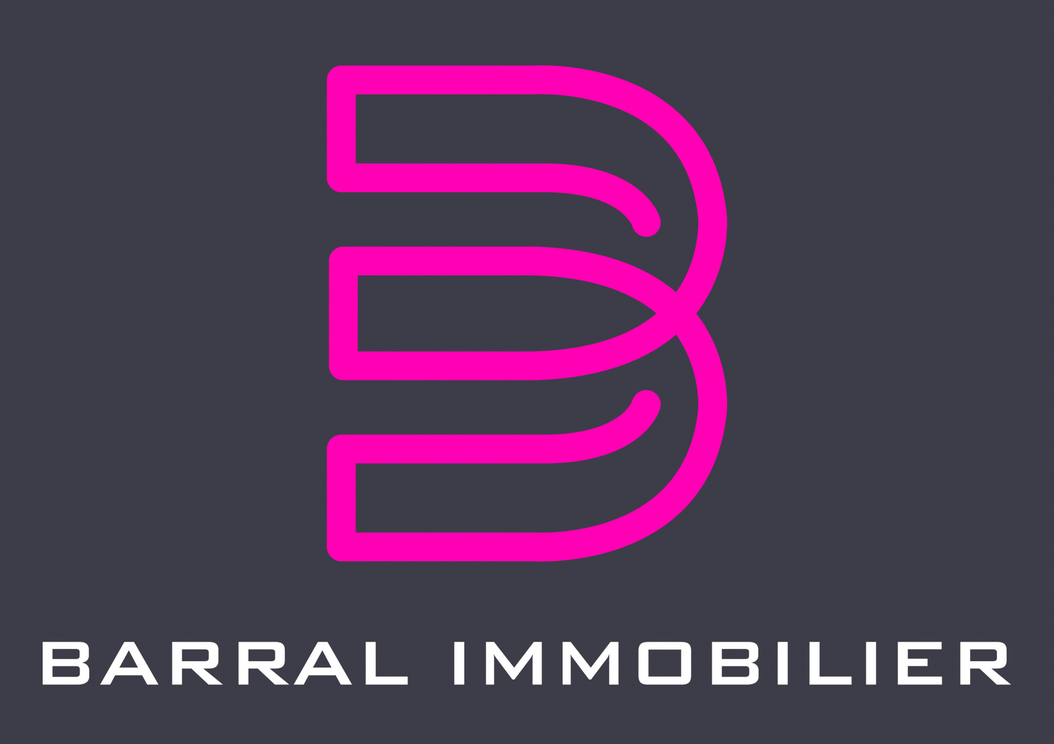 Barral Immobilier Commerciale